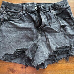 American Eagle Stretch Denim Shorts